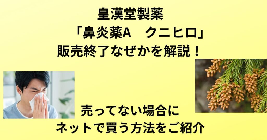 鼻炎薬A　クニヒロ　売ってない
